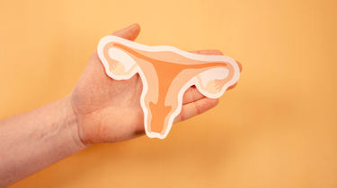 Hånd som holder et bilde av en kvinnes livmor og eggstokker.