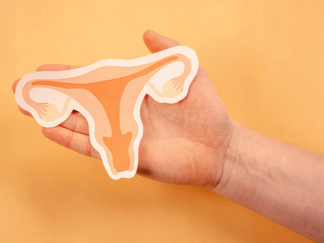 Oransj bakgrunn, hånd som holder tegning av underliv