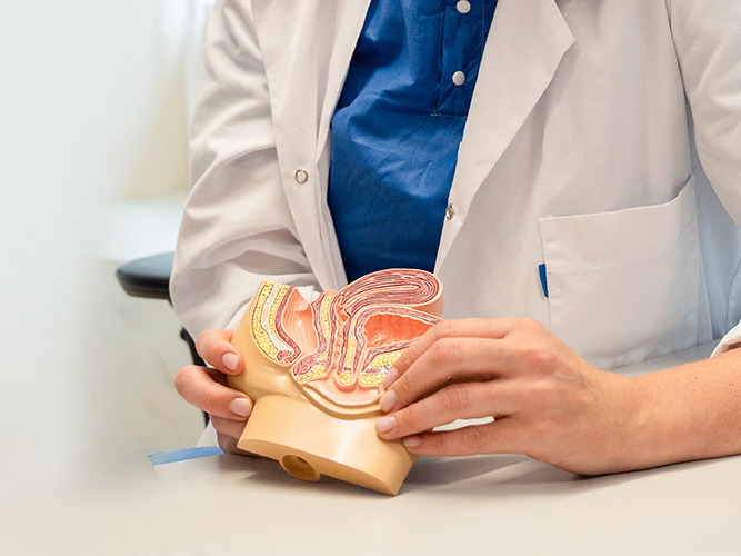 Kvinne holder en figur av underlivet