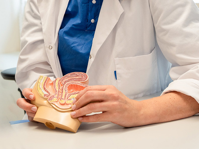 Kvinne holder en figur av underlivet