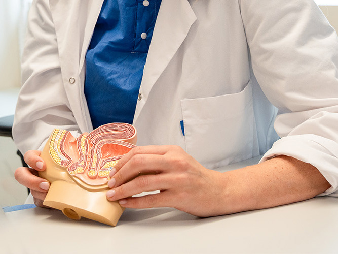 Kvinne holder en figur av underlivet