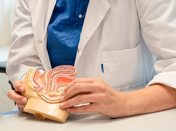 Kvinne holder en figur av underlivet