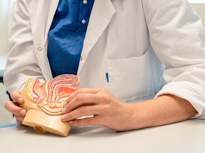 Kvinne holder en figur av underlivet