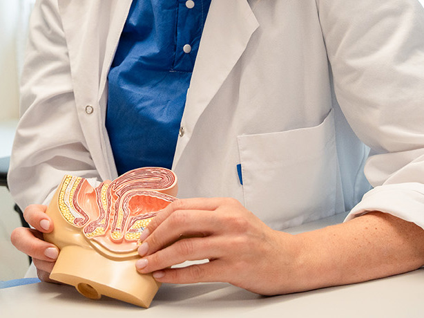 Kvinne holder en figur av underlivet