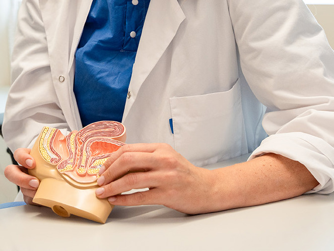 Kvinne holder en figur av underlivet