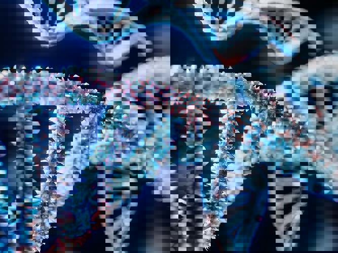 dna helixer, gentesting.