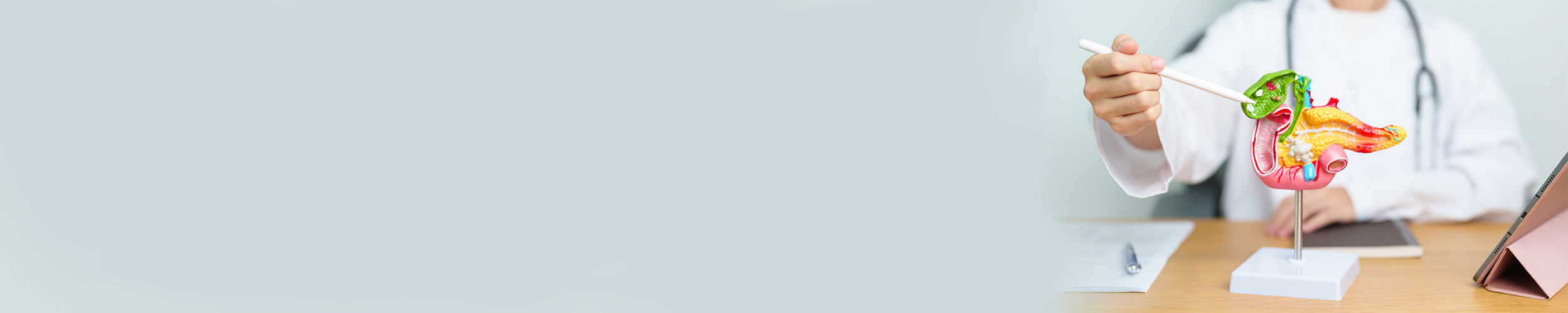 En lege peker på en modell av gallestein.