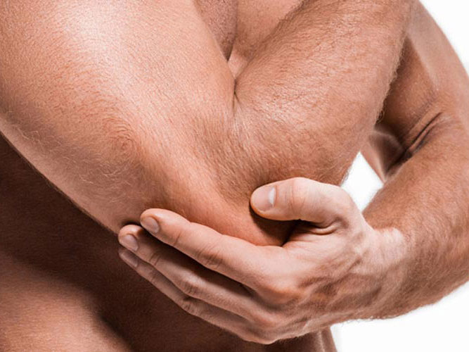 Albue på hvit bakgrunn