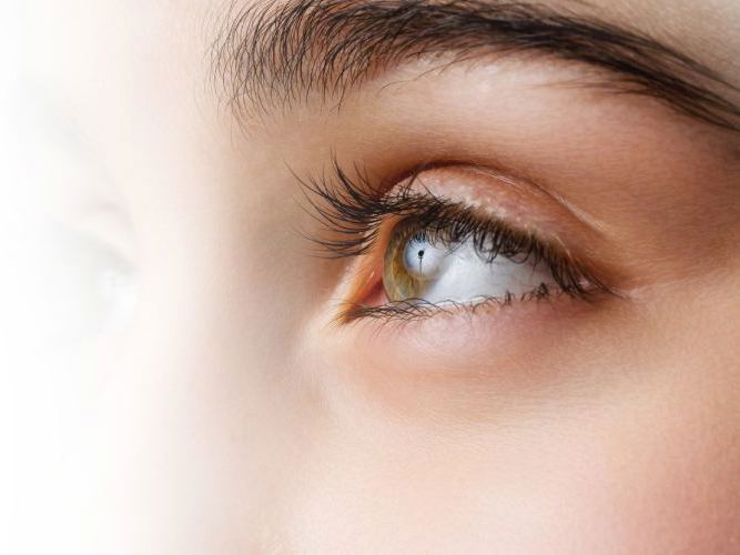 Sideprofil av øye, optiker hos Aleris