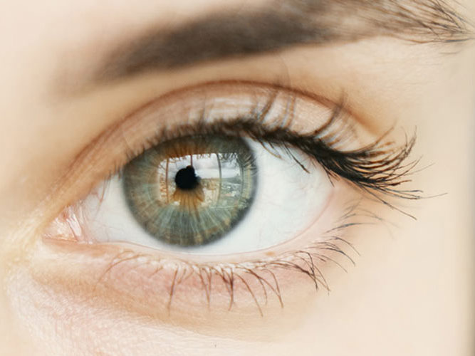 Øyelege - nærbilde av øyne